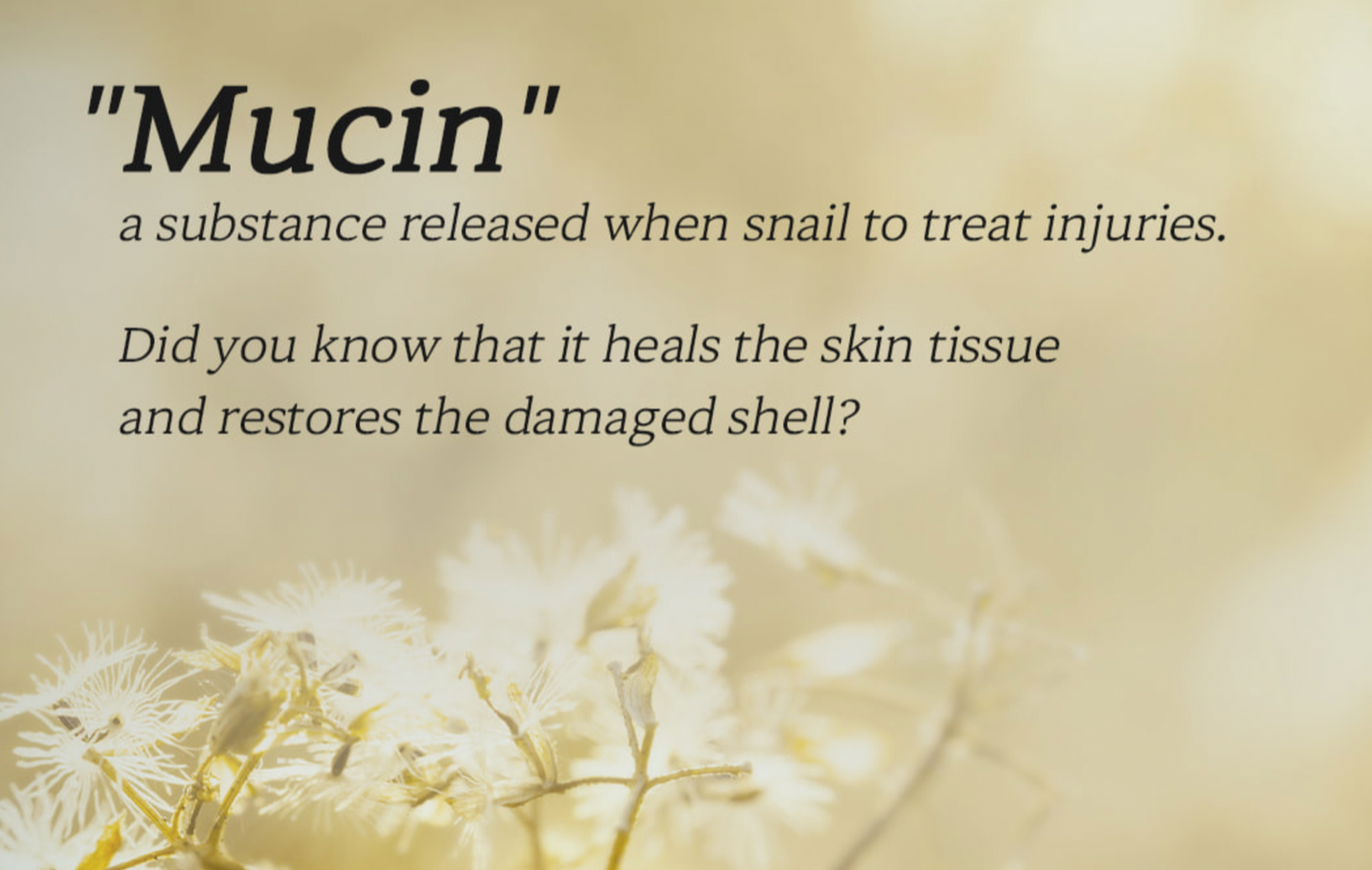 DEOPROCE SNAIL RECOVERY CREAM